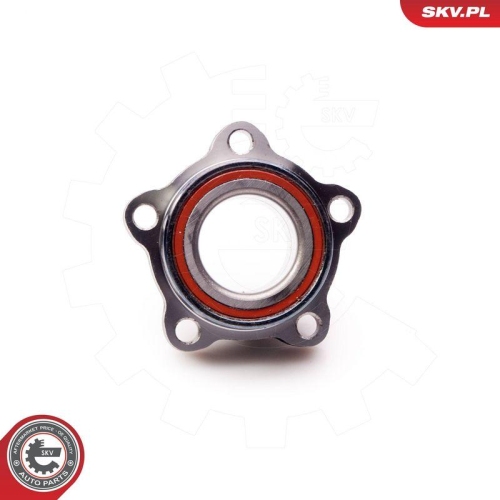 ESEN SKV Radlagersatz 29SKV064