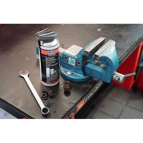LIQUI MOLY 7390 Pro-Line Schnellrostlöser Rost entfernen ablösen 400 ml
