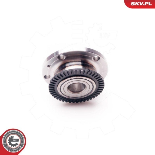 ESEN SKV Radlagersatz 29SKV069