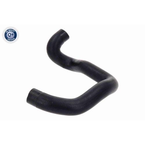 VAICO K&uuml;hlerschlauch Q+, Erstausr&uuml;sterqualit&auml;t V22-1160