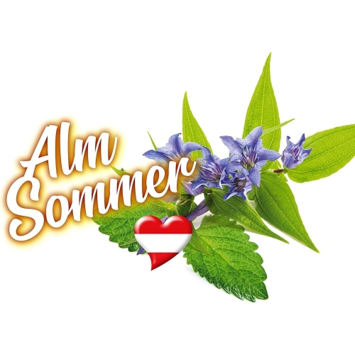 SONAX 5L ScheibenReiniger 5 Liter Alm Sommer Scheibenklar 03225000