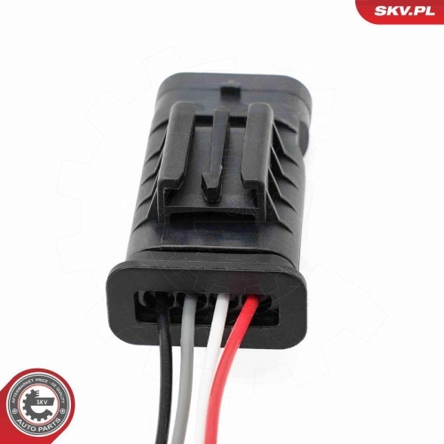 ESEN SKV Lambdasonde