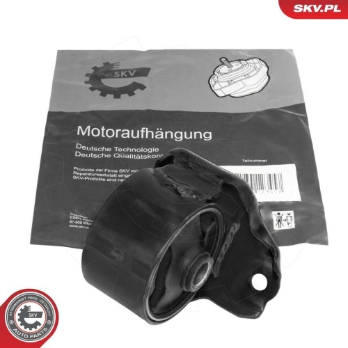 ESEN SKV Lagerung, Motor 75SKV232