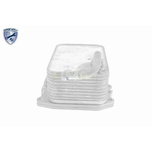 VEMO Ölkühler, Motoröl EXPERT KITS + V15-60-6075