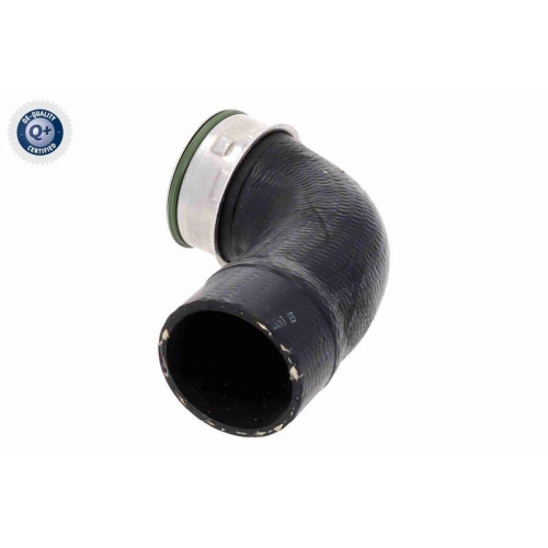 VAICO Ladeluftschlauch Q+, Erstausrüsterqualität V20-2806