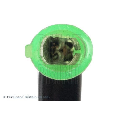 BLUE PRINT Wickelfeder, Airbag Blue Print Solution ADBP140050