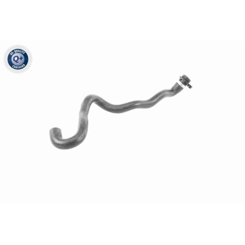 VAICO Kühlerschlauch Q+, Erstausrüsterqualität V20-2892