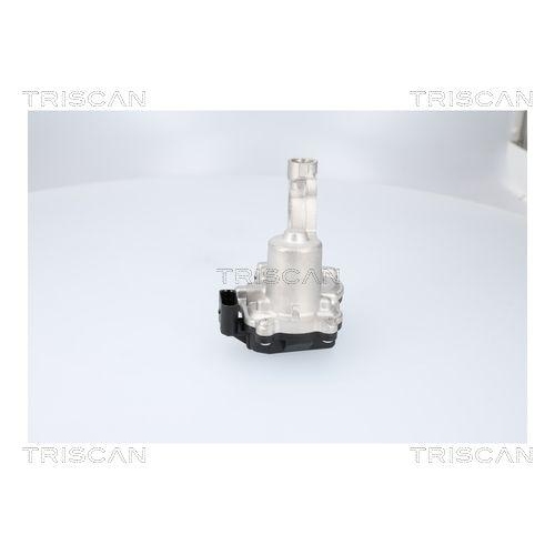 TRISCAN AGR-Ventil 8813 29116