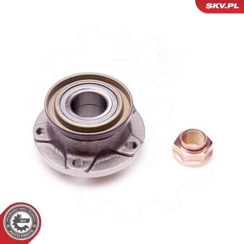ESEN SKV Radlagersatz 29SKV090