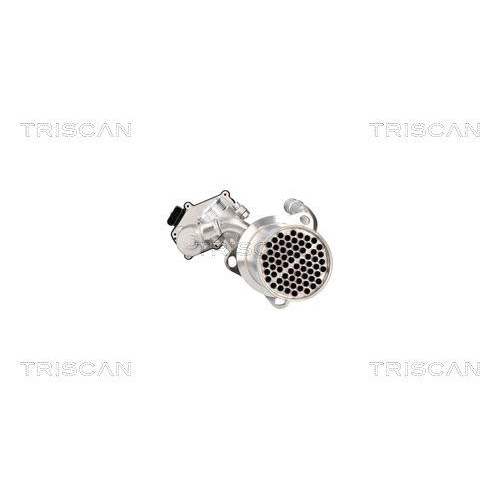 TRISCAN AGR-Ventil 8813 29117