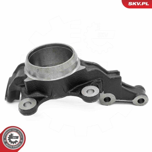 ESEN SKV Achsschenkel, Radaufh&auml;ngung