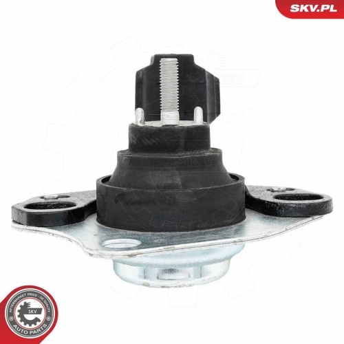 ESEN SKV Lagerung, Motor 75SKV019