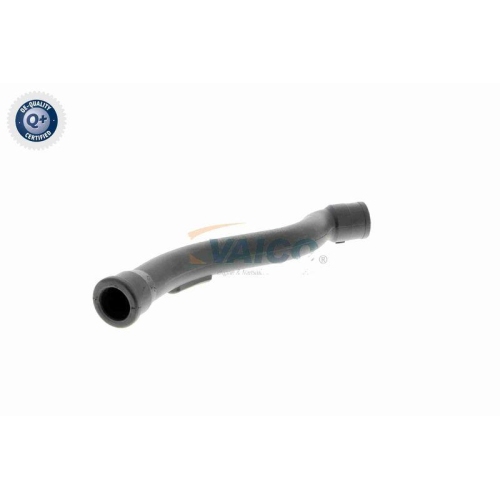 VAICO Schlauch, Kurbelgehäuseentlüftung Q+, Erstausrüsterqualität V10-2938