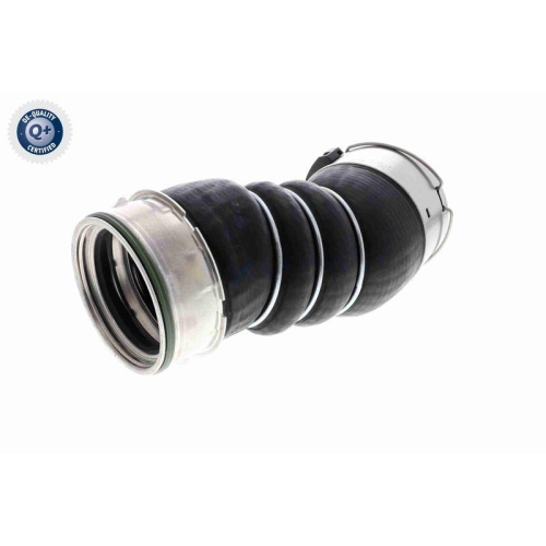 VAICO Ladeluftschlauch Q+, Erstausrüsterqualität V20-3656