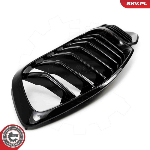 ESEN SKV Kühlergitter