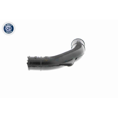 VAICO Schlauch, Kurbelgehäuseentlüftung Q+, Erstausrüsterqualität V30-0794