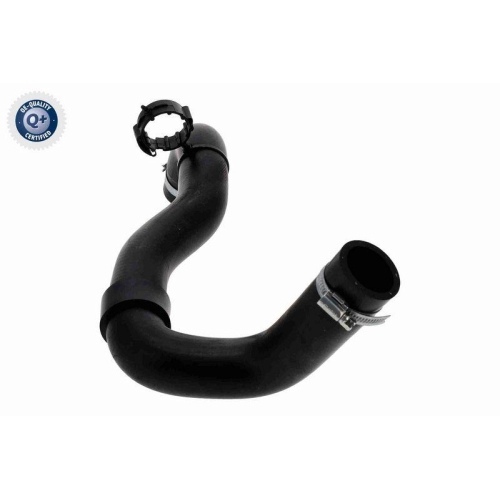 VAICO K&uuml;hlerschlauch Q+, Erstausr&uuml;sterqualit&auml;t V21-0044