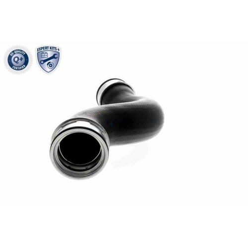 VAICO Ladeluftschlauch EXPERT KITS +