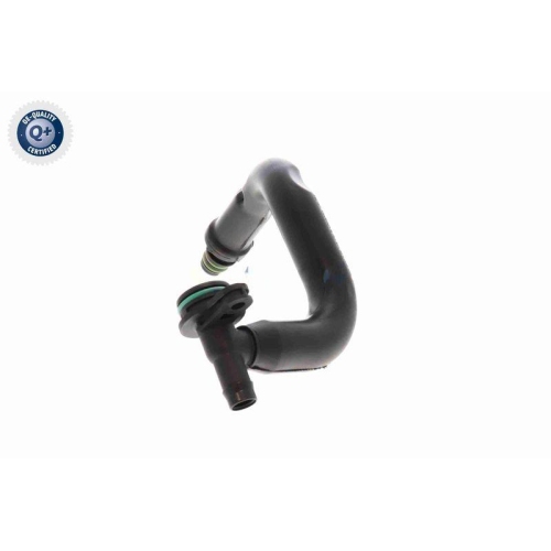 VAICO Ventil, Kurbelgehäuseentlüftung Green Mobility Parts V10-8677