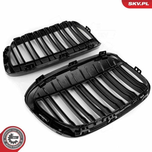 ESEN SKV Kühlergitter