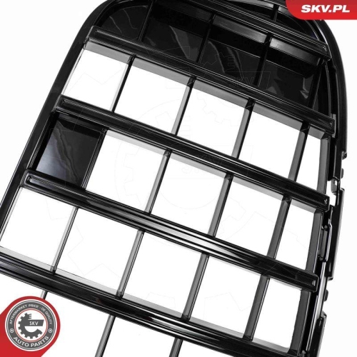 ESEN SKV Kühlergitter