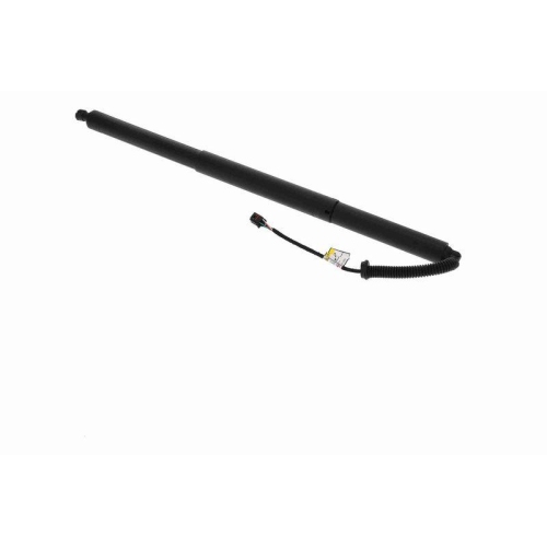 ACKOJA Elektromotor, Heckklappe Green Mobility Parts