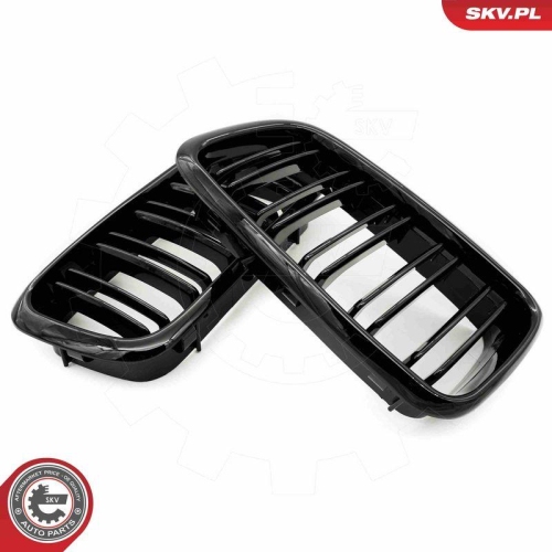 ESEN SKV Kühlergitter