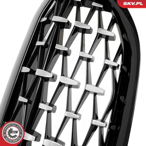 ESEN SKV Kühlergitter