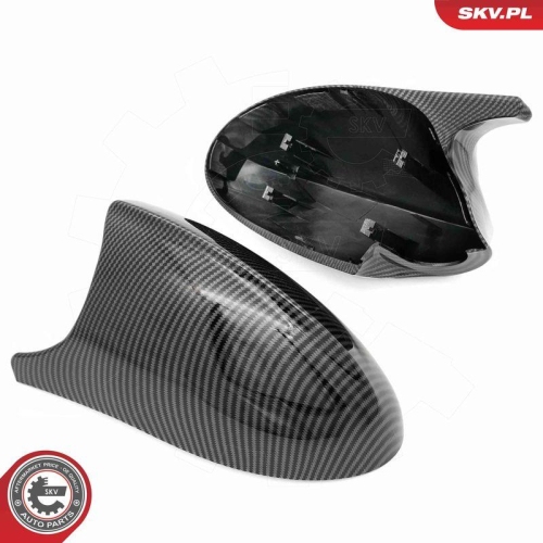 ESEN SKV Abdeckung, Außenspiegel