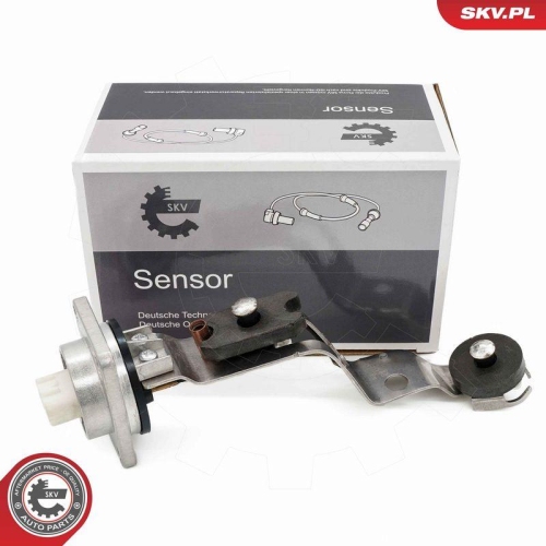 ESEN SKV Sensor, Motor&ouml;lstand 17SKV940