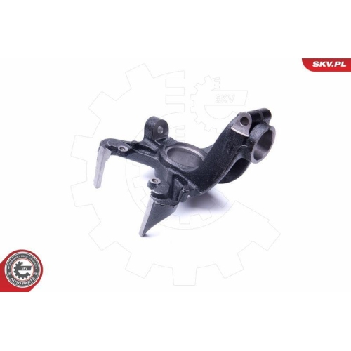 ESEN SKV Achsschenkel, Radaufhängung