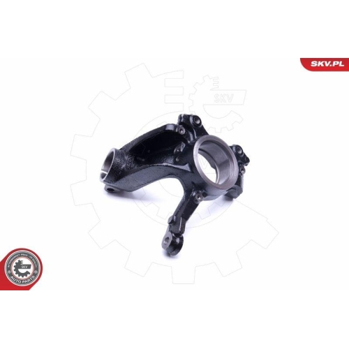 ESEN SKV Achsschenkel, Radaufhängung