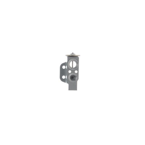 MAHLE Expansionsventil, Klimaanlage BEHR AVE 174 000S