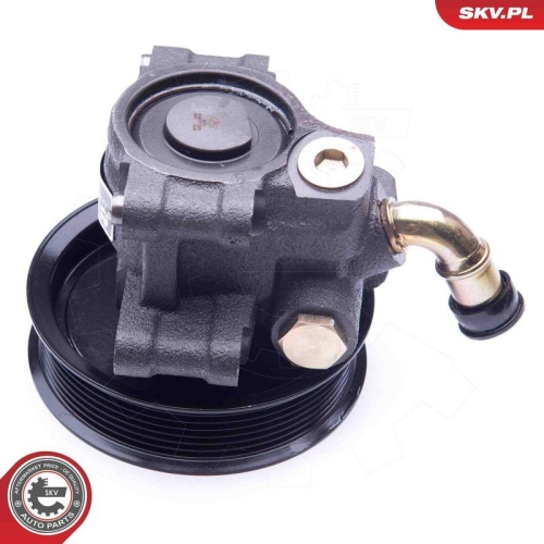 ESEN SKV Hydraulikpumpe, Lenkung 10SKV101