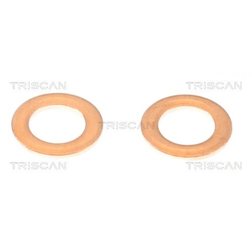 TRISCAN Bremsschlauch 8150 432015