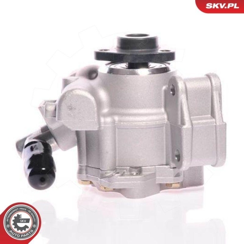 ESEN SKV Hydraulikpumpe, Lenkung 10SKV148