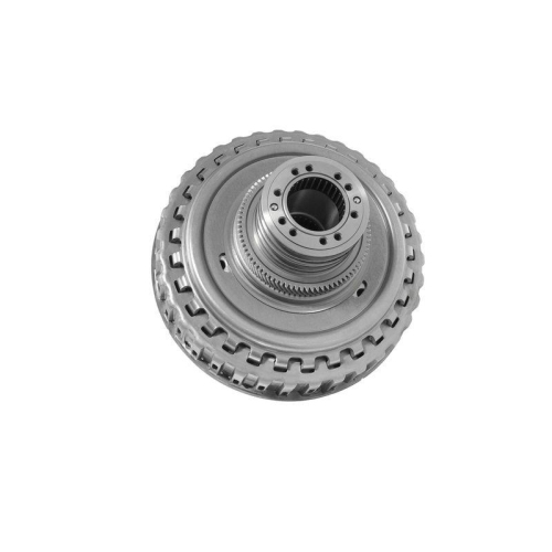 BorgWarner Kupplungsmodul OE-Version/Erstausr&uuml;stung 202155