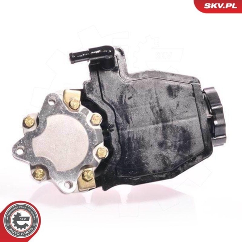 ESEN SKV Hydraulikpumpe, Lenkung 10SKV160