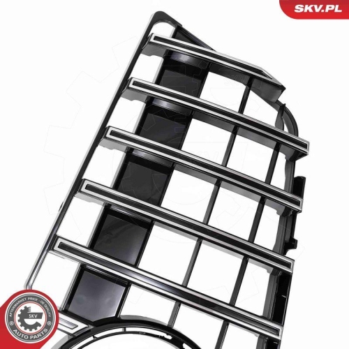 ESEN SKV Kühlergitter