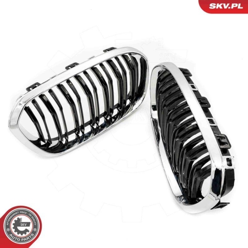 ESEN SKV Kühlergitter