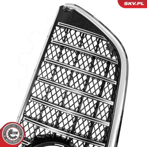 ESEN SKV Kühlergitter