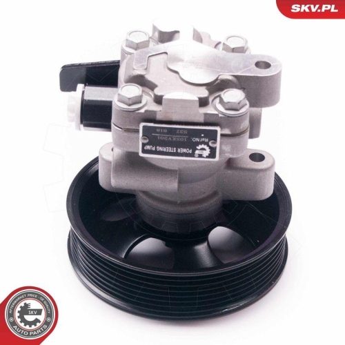 ESEN SKV Hydraulikpumpe, Lenkung 10SKV201