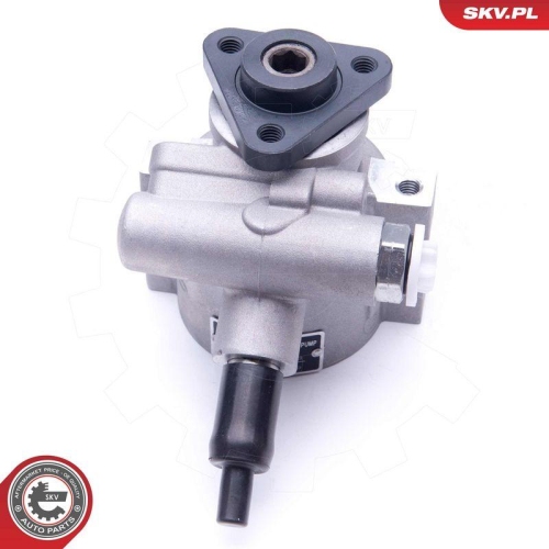 ESEN SKV Hydraulikpumpe, Lenkung 10SKV258