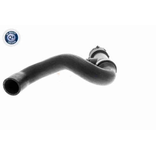 VAICO Kühlerschlauch Q+, Erstausrüsterqualität V10-3196