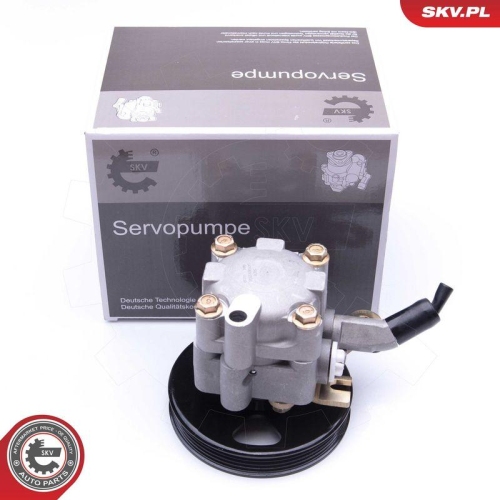 ESEN SKV Hydraulikpumpe, Lenkung 10SKV276