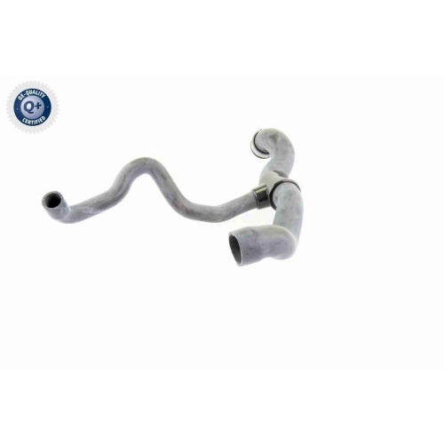 VAICO Kühlerschlauch Q+, Erstausrüsterqualität V30-1660