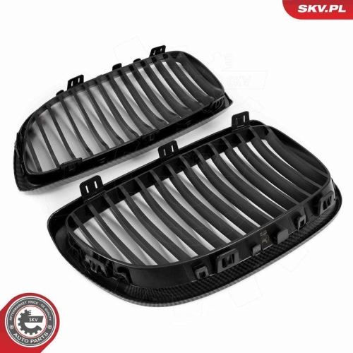 ESEN SKV Kühlergitter