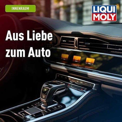 Kunststofftiefenpfleger LIQUI MOLY 1536 Kunststoff Pflege Reiniger Schutz 500ml