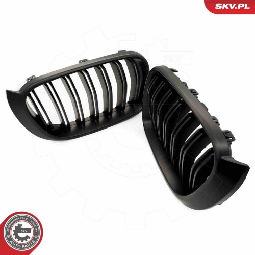 ESEN SKV Kühlergitter