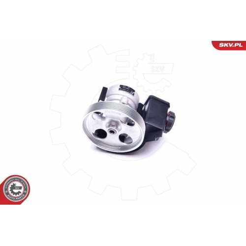 ESEN SKV Hydraulikpumpe, Lenkung 10SKV079